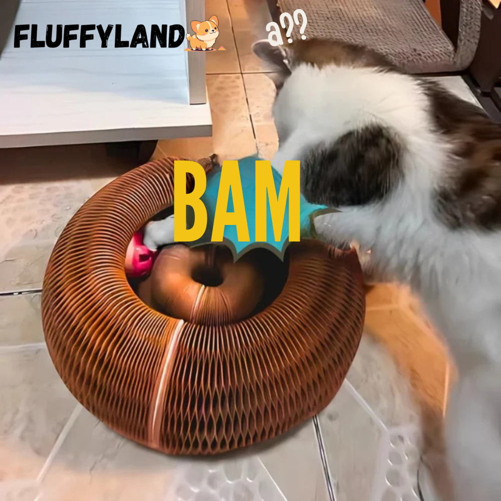 Kattenkrul™ - Het speeltje dat nooit verveelt!